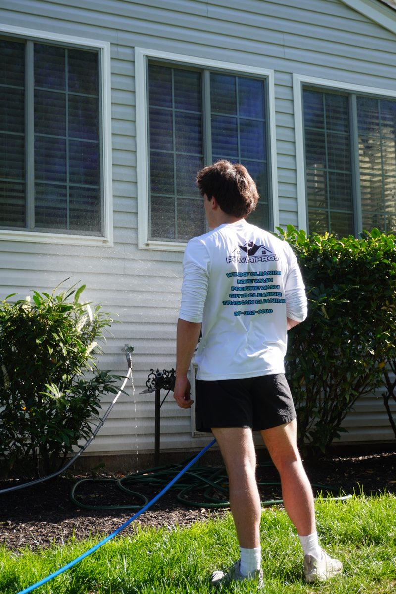 Professional house washing service