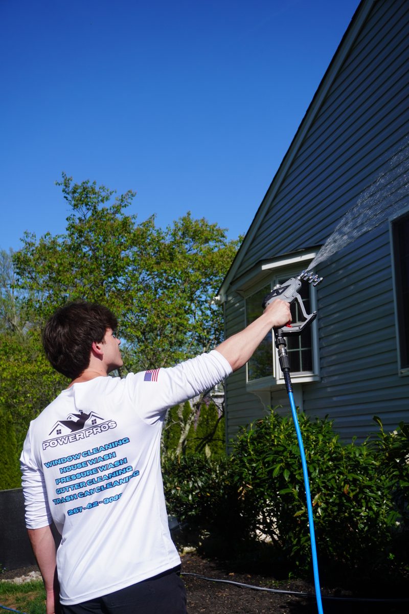 Professional soft washing service