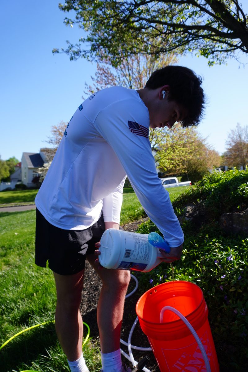 Professional trash can cleaning service